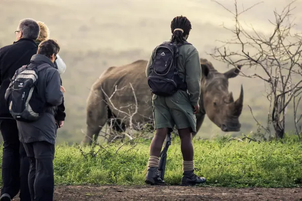 Rhino Ridge Safari Lodge_Walking with rhinos